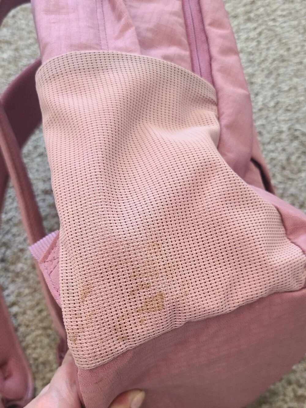 Dakine Rose Pink Daypack Backpack